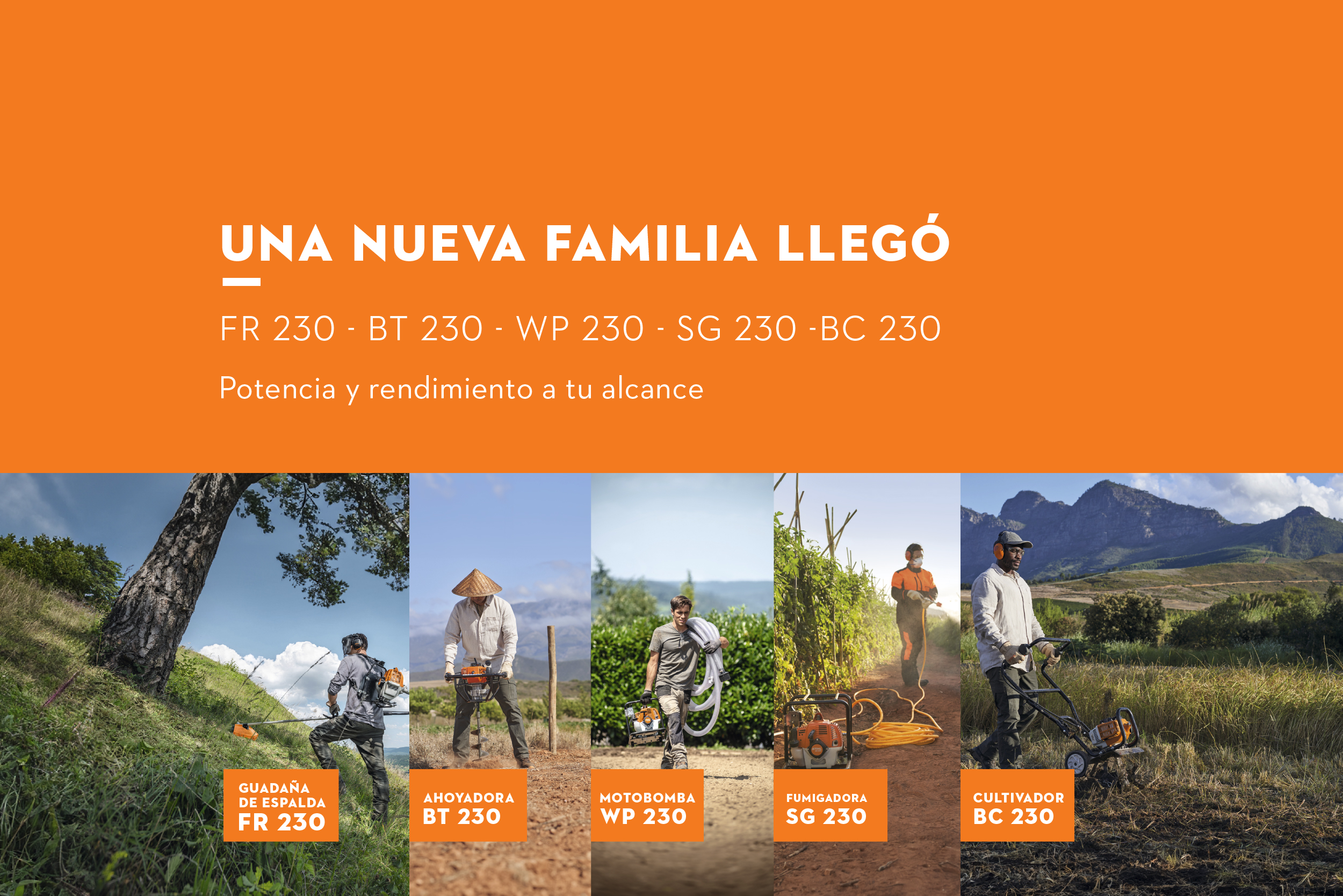 familia motores 230